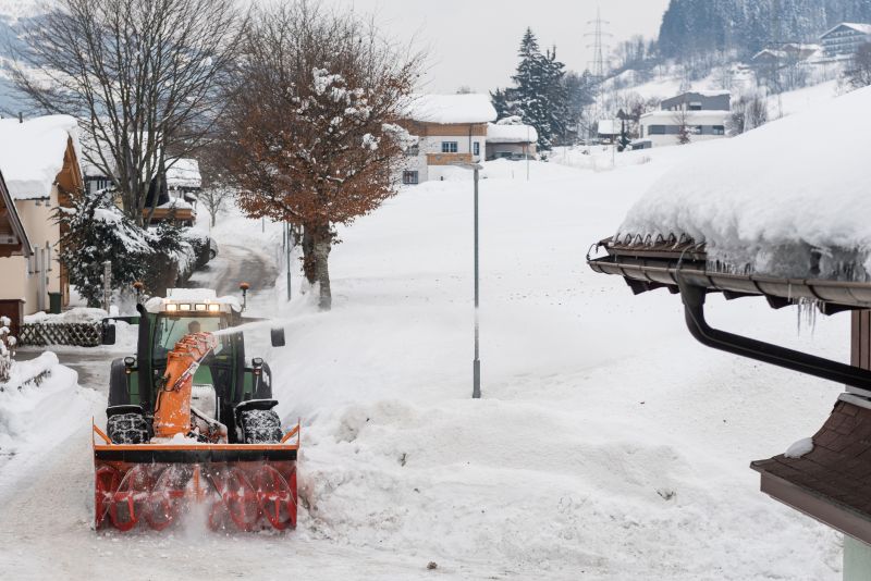 Snow Removal Team